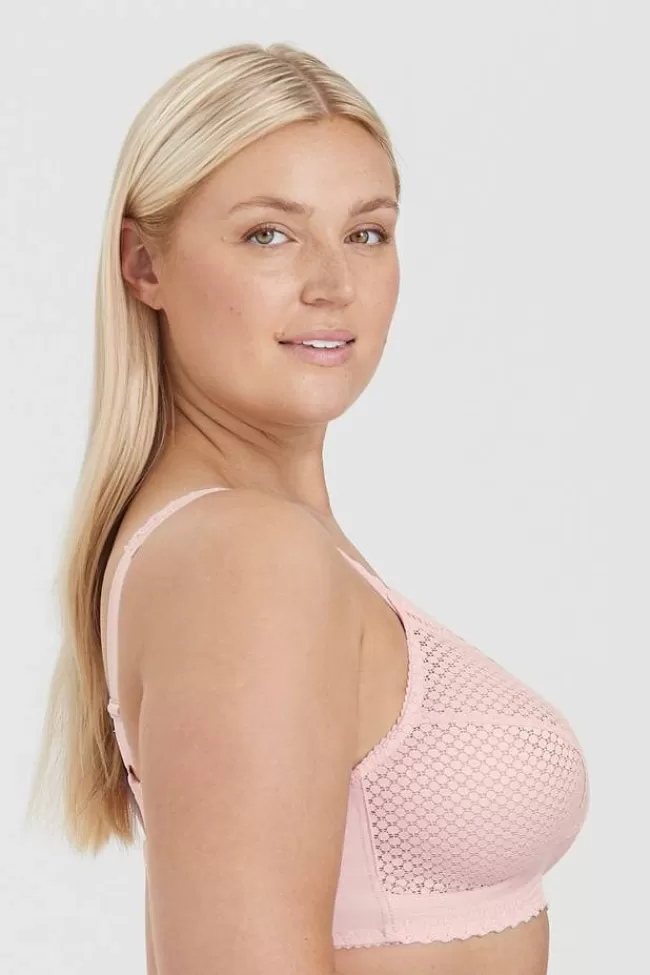 Miss Mary Cotton Dots Lace bh